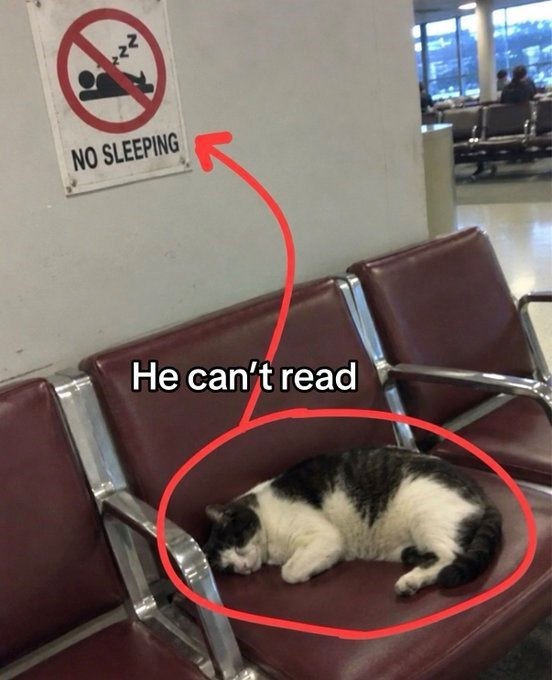 NO SLEEPING He can't read