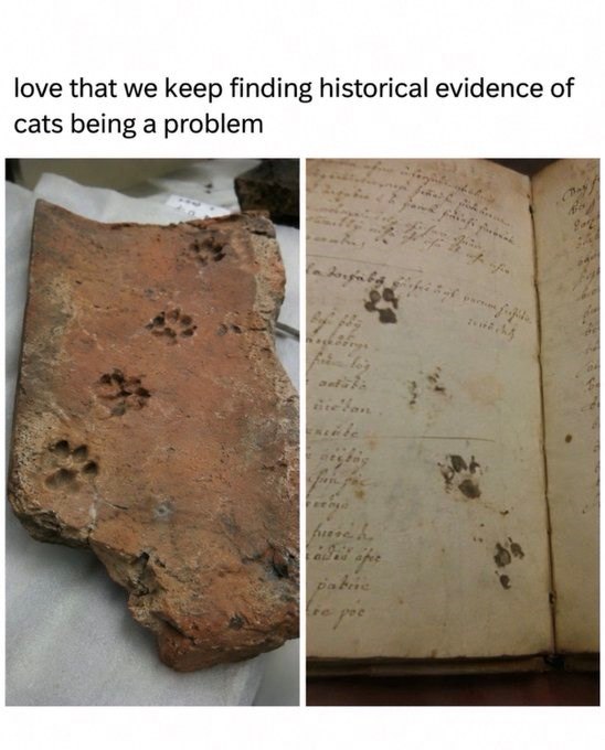 love that we keep finding historical evidence of cats being a problem antals Ele pure be patie te