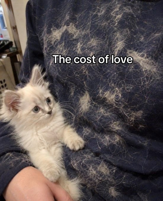The cost of love