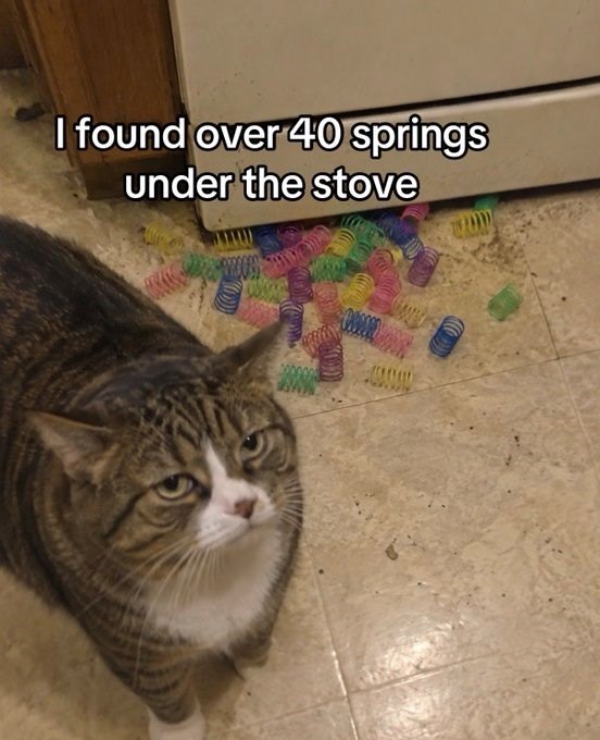 I found over 40 springs under the stove