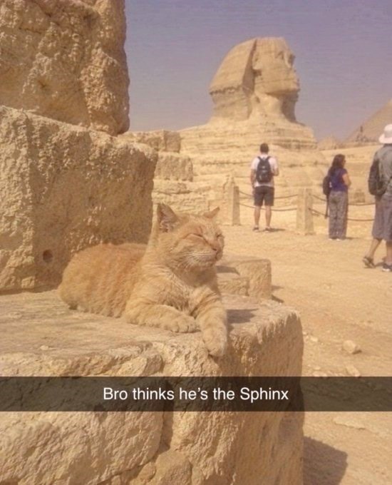 Bro thinks he's the Sphinx