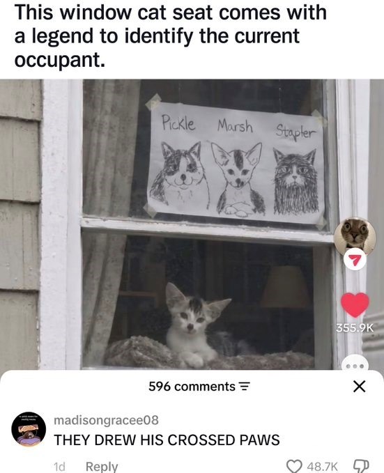This window cat seat comes with a legend to identify the current occupant. Pickle Marsh Stapler 596 comments= madisongracee08 THEY DREW HIS CROSSED PAWS 1d Reply 355.9K 48.7K