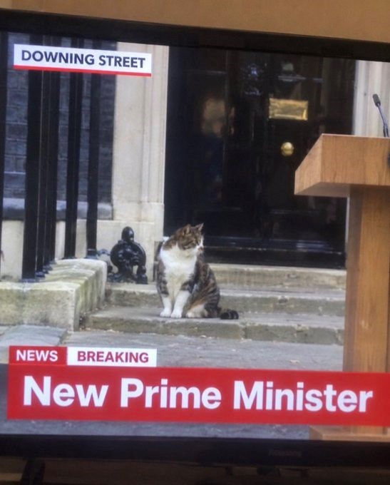 DOWNING STREET NEWS BREAKING New Prime Minister