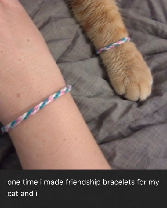 one time i made friendship bracelets for my cat and i