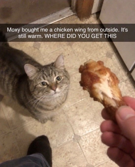 Moxy bought me a chicken wing from outside. It's still warm. WHERE DID YOU GET THIS