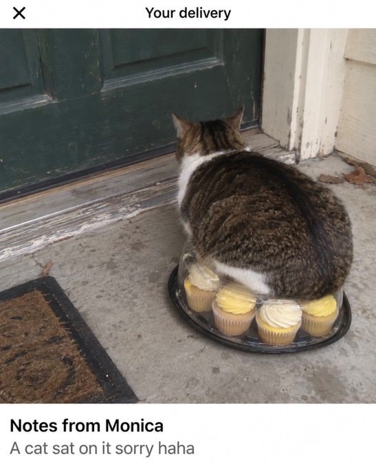 ☑ Your delivery Notes from Monica A cat sat on it sorry haha