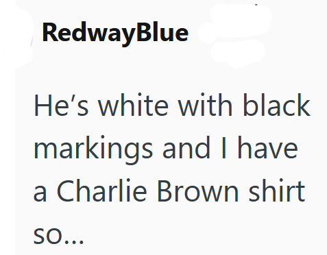 RedwayBlue He's white with black markings and I have a Charlie Brown shirt SO...