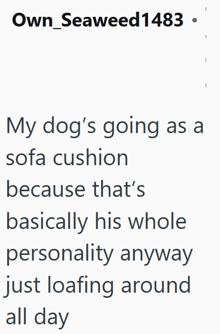 Own Seaweed1483 My dog's going as a sofa cushion because that's basically his whole personality anyway just loafing around all day