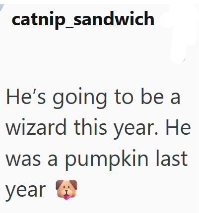 catnip_sandwich He's going to be a wizard this year. He was a pumpkin last year *