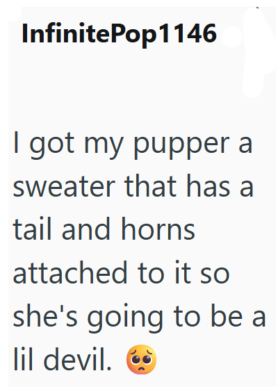 InfinitePop1146 I got my pupper a sweater that has a tail and horns attached to it so she's going to be a lil devil.