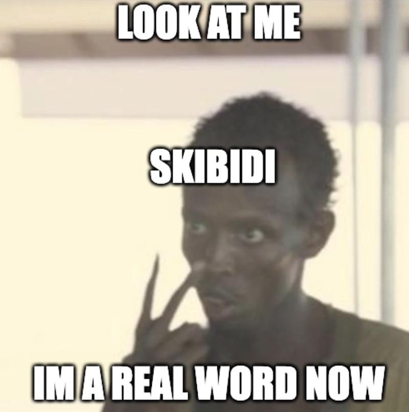 LOOK AT ME SKIBIDI IM A REAL WORD NOW