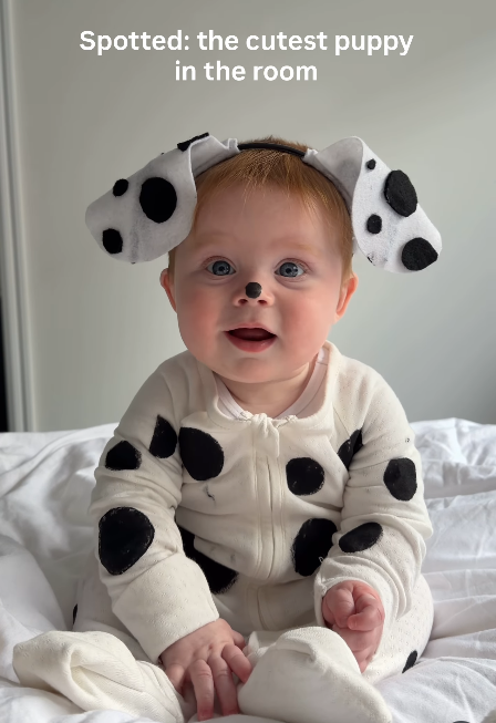 Spotted: the cutest puppy in the room