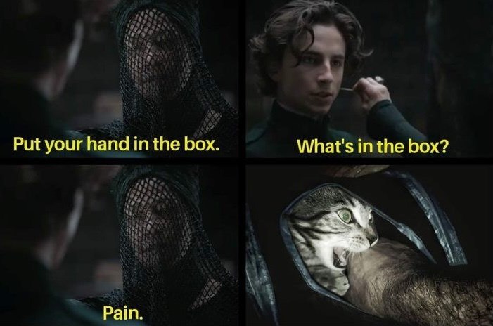 Put your hand in the box. What's in the box? Pain.