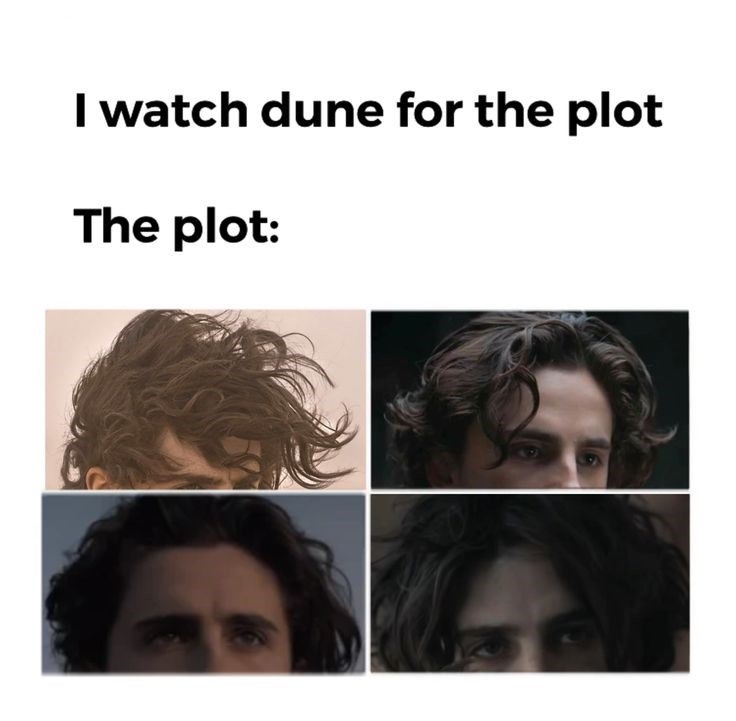 I watch dune for the plot The plot: