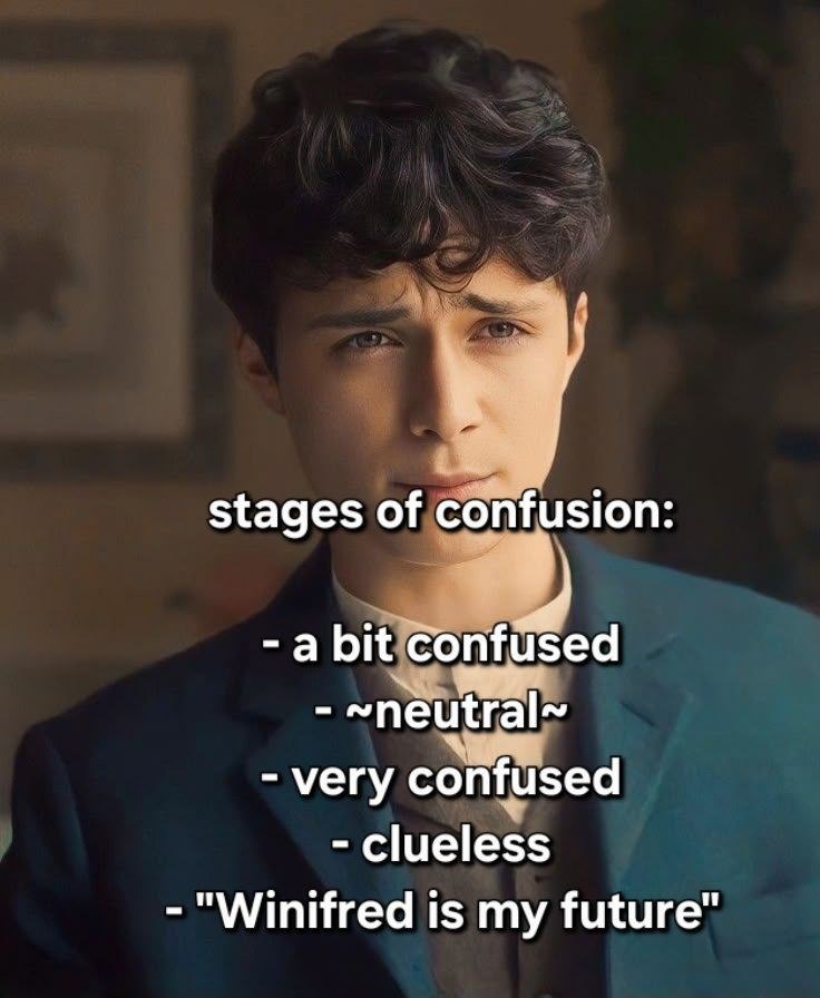 stages of confusion: - a bit confused - ~neutral~ - very confused - clueless - "Winifred is my future"