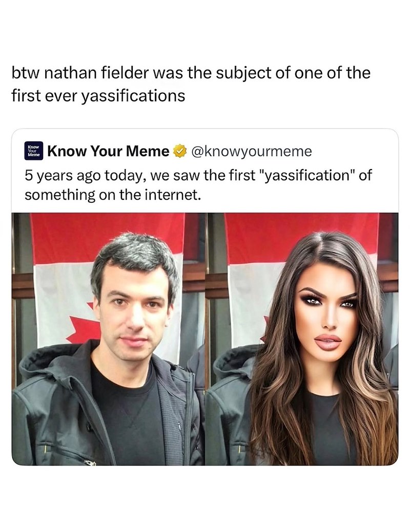 btw nathan fielder was the subject of one of the first ever yassifications Know Your your Meme Know Your Meme @knowyourmeme 5 years ago today, we saw the first "yassification" of something on the internet.