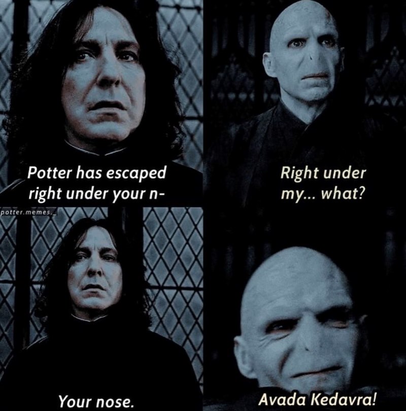 Potter has escaped right under your n- Right under my... what? potter.memes. Your nose. Avada Kedavra!