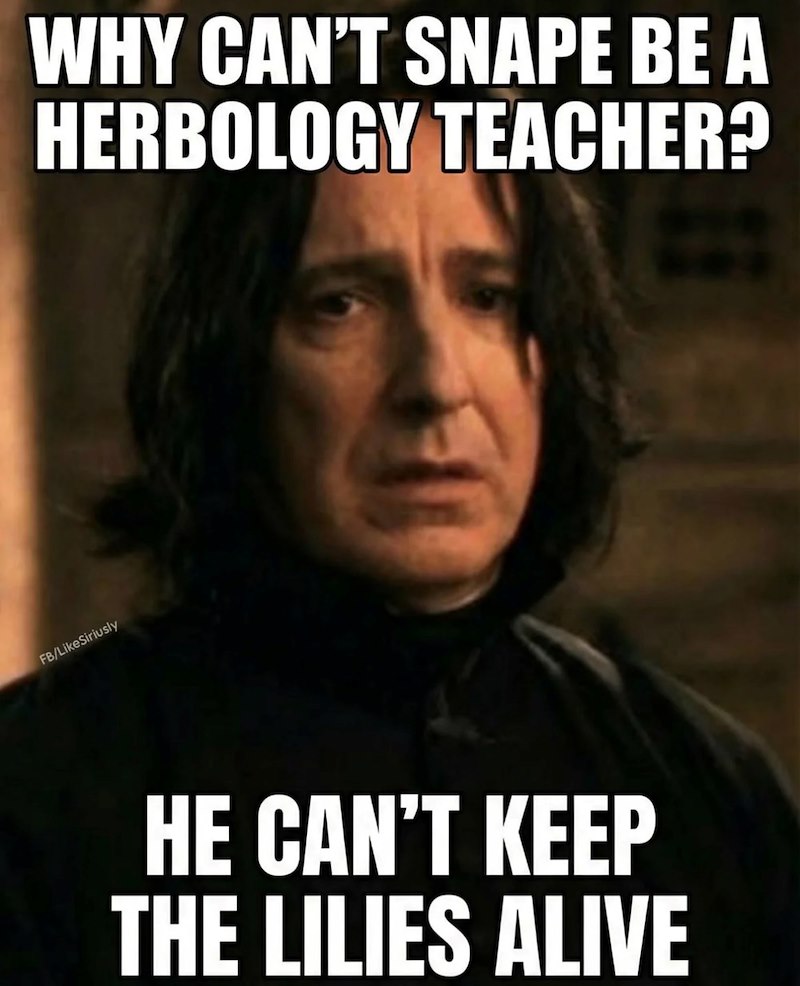 FB/LikeSiriusly WHY CAN'T SNAPE BE A HERBOLOGY TEACHER? HE CAN'T KEEP THE LILIES ALIVE