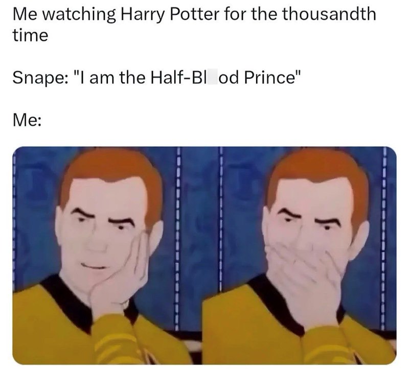Me watching Harry Potter for the thousandth time Snape: "I am the Half-Blood Prince" Me: