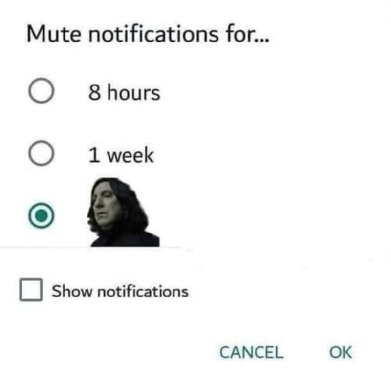 Mute notifications for... ○ 8 hours ○ 1 week Show notifications CANCEL OK