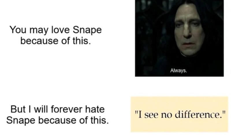 You may love Snape because of this. But I will forever hate Snape because of this. Always. "I see no difference."