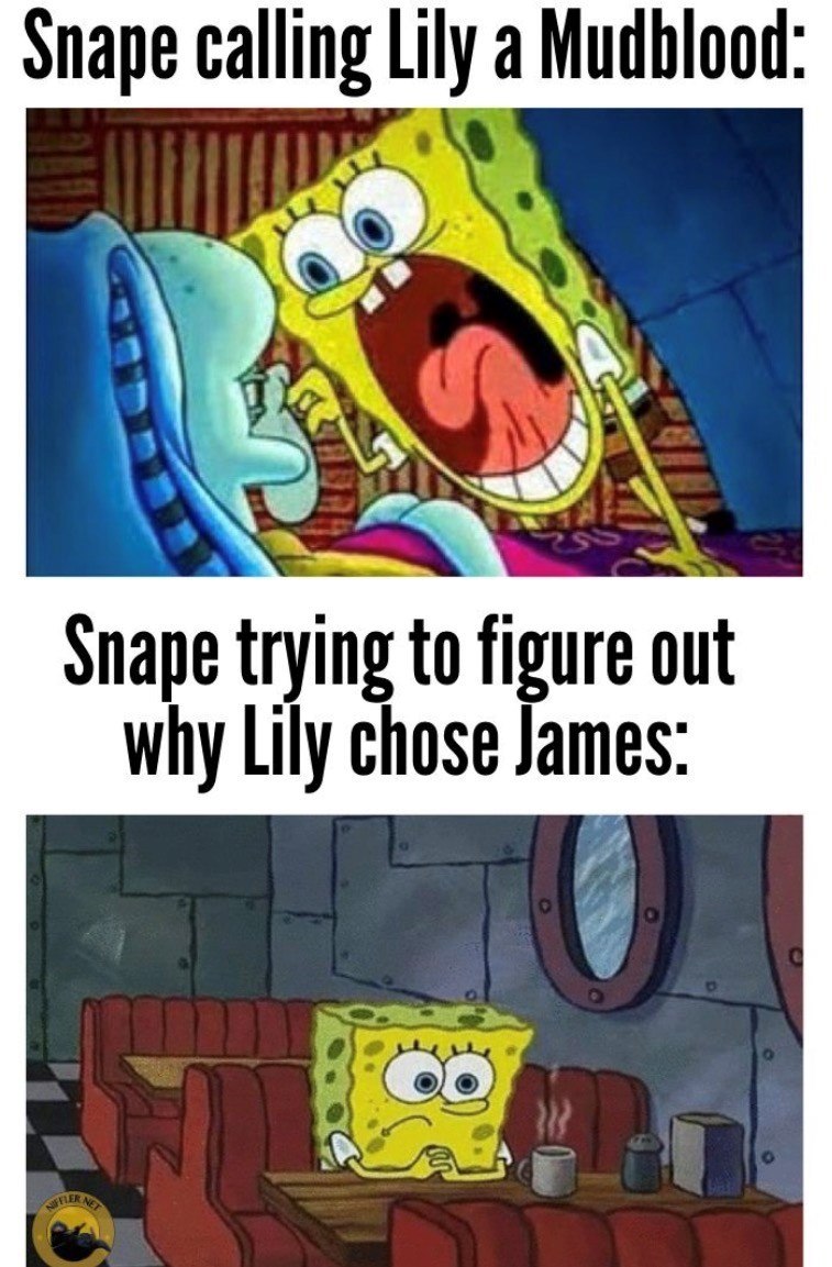 Snape calling Lily a Mudblood: Snape trying to figure out why Lily chose James: 0