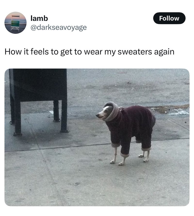 lamb Follow @darkseavoyage How it feels to get to wear my sweaters again