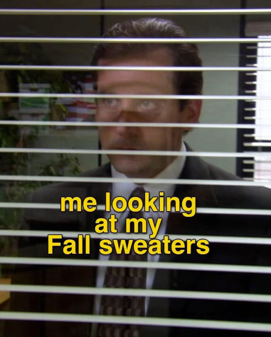 me looking. at my Fall sweaters