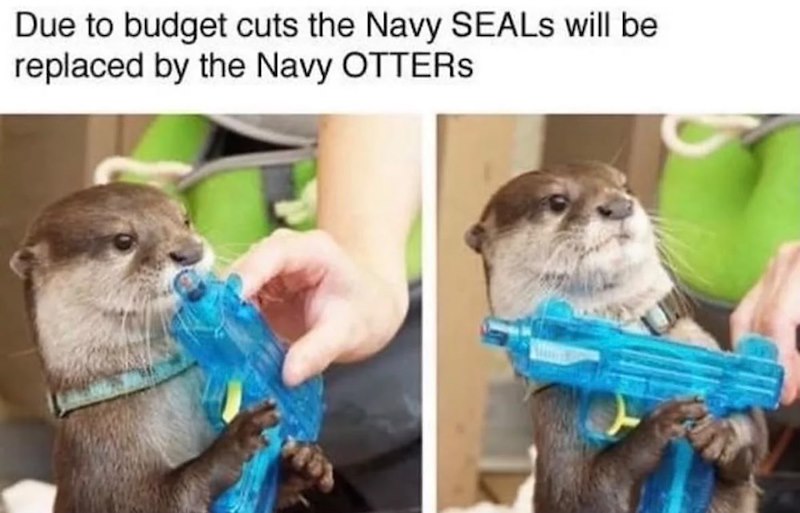Due to budget cuts the Navy SEALS will be replaced by the Navy OTTERS