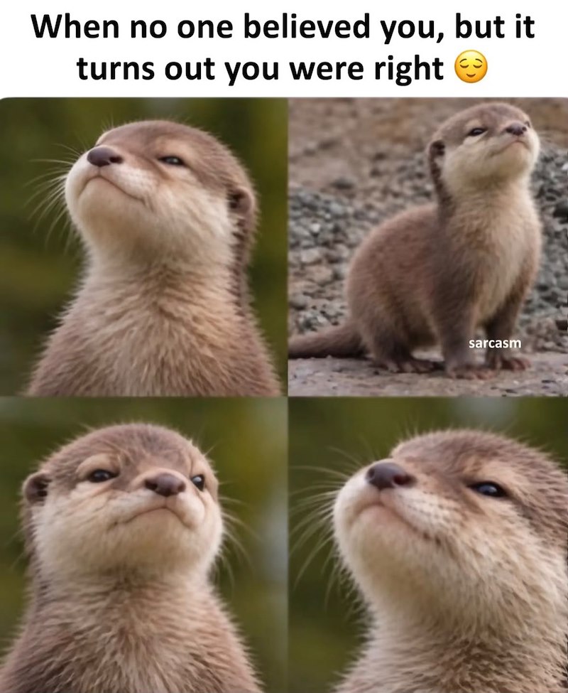 When no one believed you, but it turns out you were right sarcasm