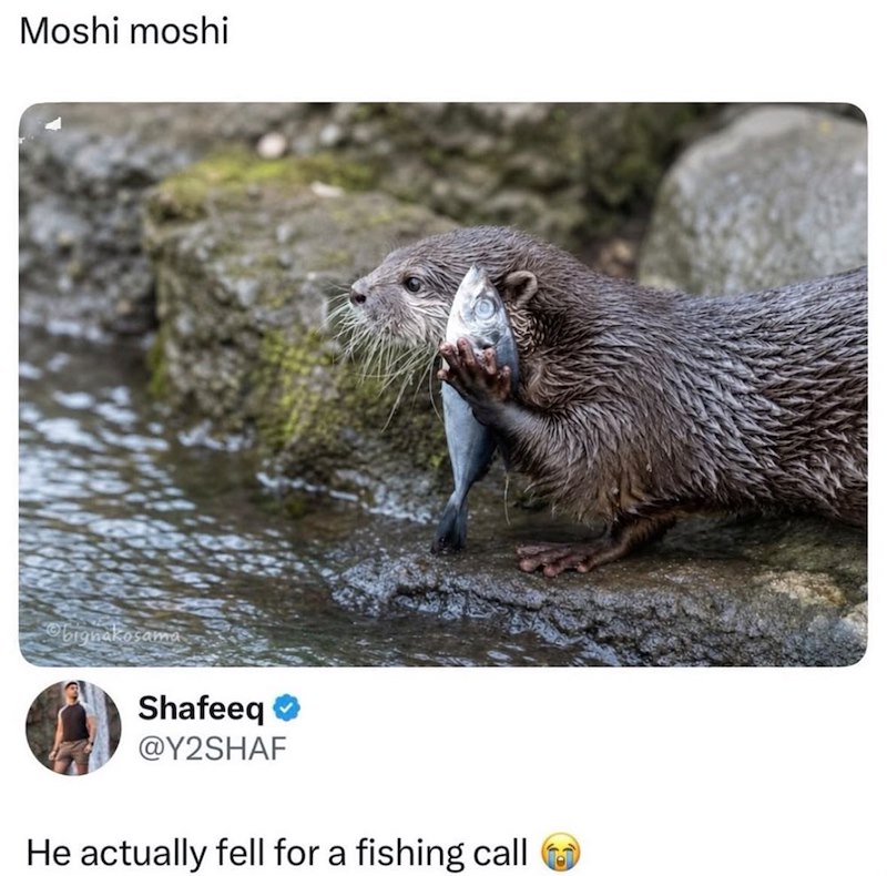 Moshi moshi bignakosama Shafeeq⭑ @Y2SHAF He actually fell for a fishing call