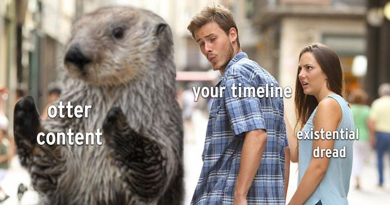 otter content your timeline existential dread