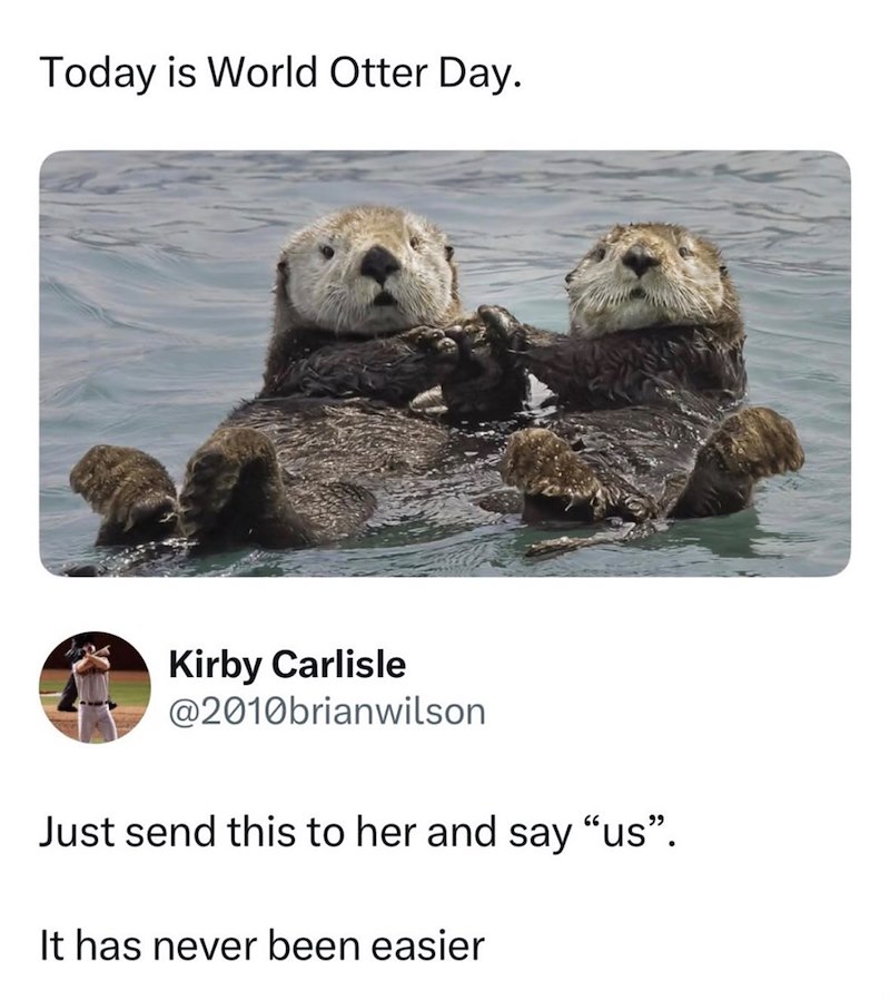Today is World Otter Day. Kirby Carlisle @2010brianwilson Just send this to her and say "us". It has never been easier