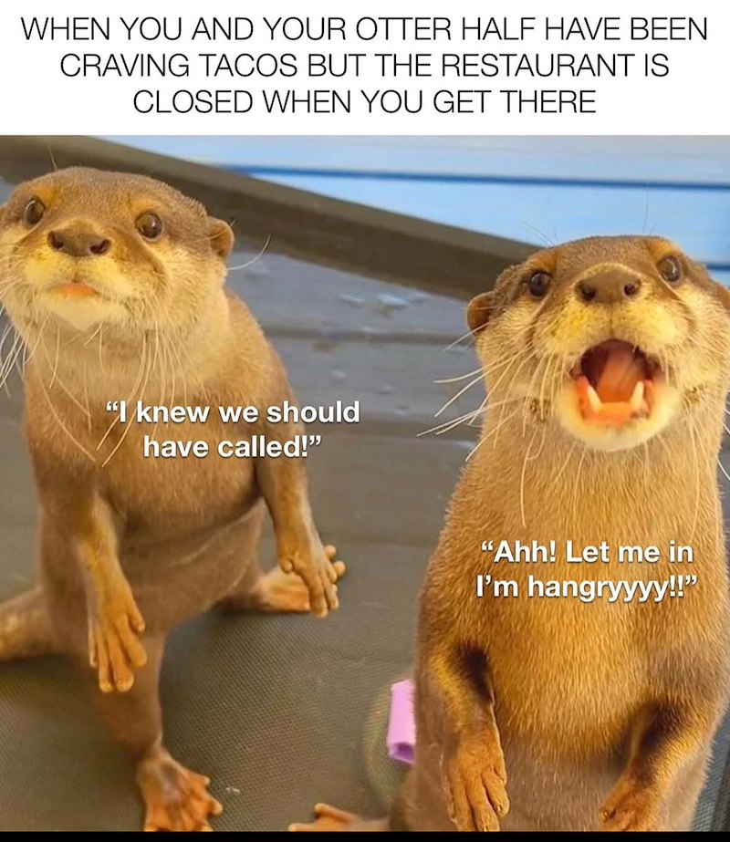 WHEN YOU AND YOUR OTTER HALF HAVE BEEN CRAVING TACOS BUT THE RESTAURANT IS CLOSED WHEN YOU GET THERE "I knew we should have called!" "Ahh! Let me in I'm hangryyyy!!"