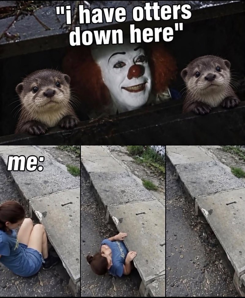 me: "i have otters down here"
