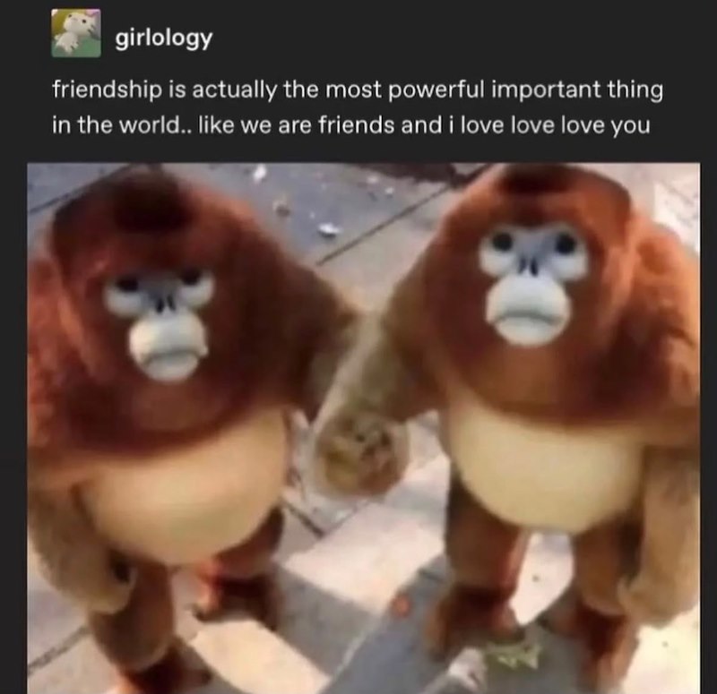girlology friendship is actually the most powerful important thing in the world.. like we are friends and i love love love you