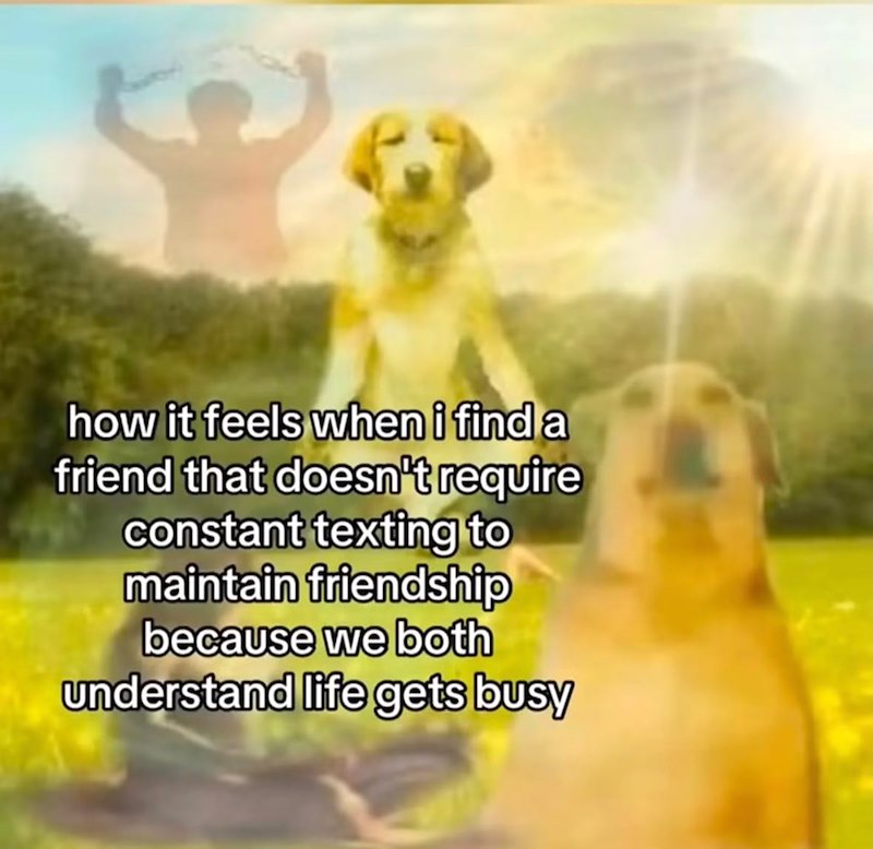 9 how it feels when i find a friend that doesn't require constant texting to maintain friendship because we both understand life gets busy