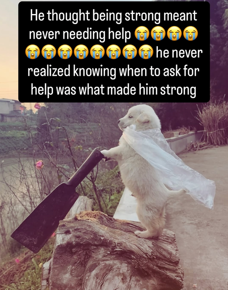 He thought being strong meant never needing help he never realized knowing when to ask for help was what made him strong