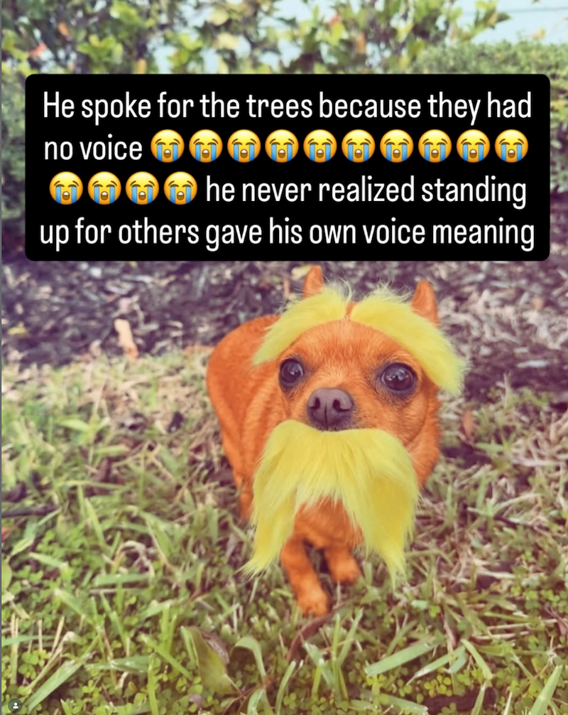 He spoke for the trees because they had no voice he never realized standing up for others gave his own voice meaning
