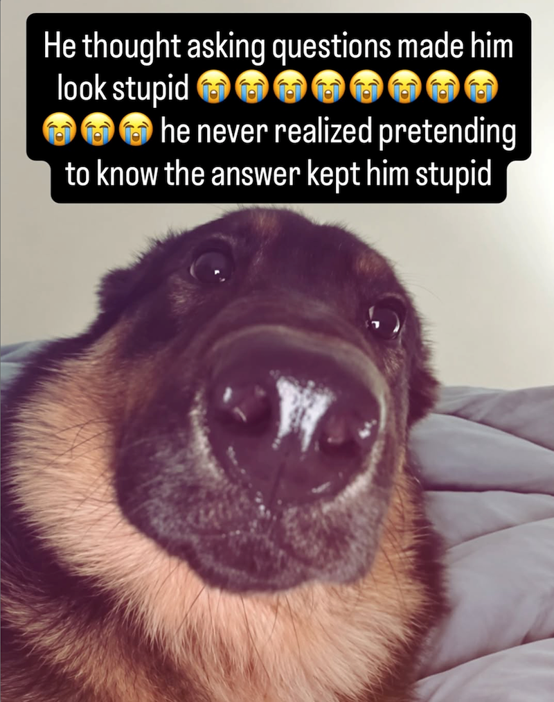 He thought asking questions made him look stupid he never realized pretending to know the answer kept him stupid