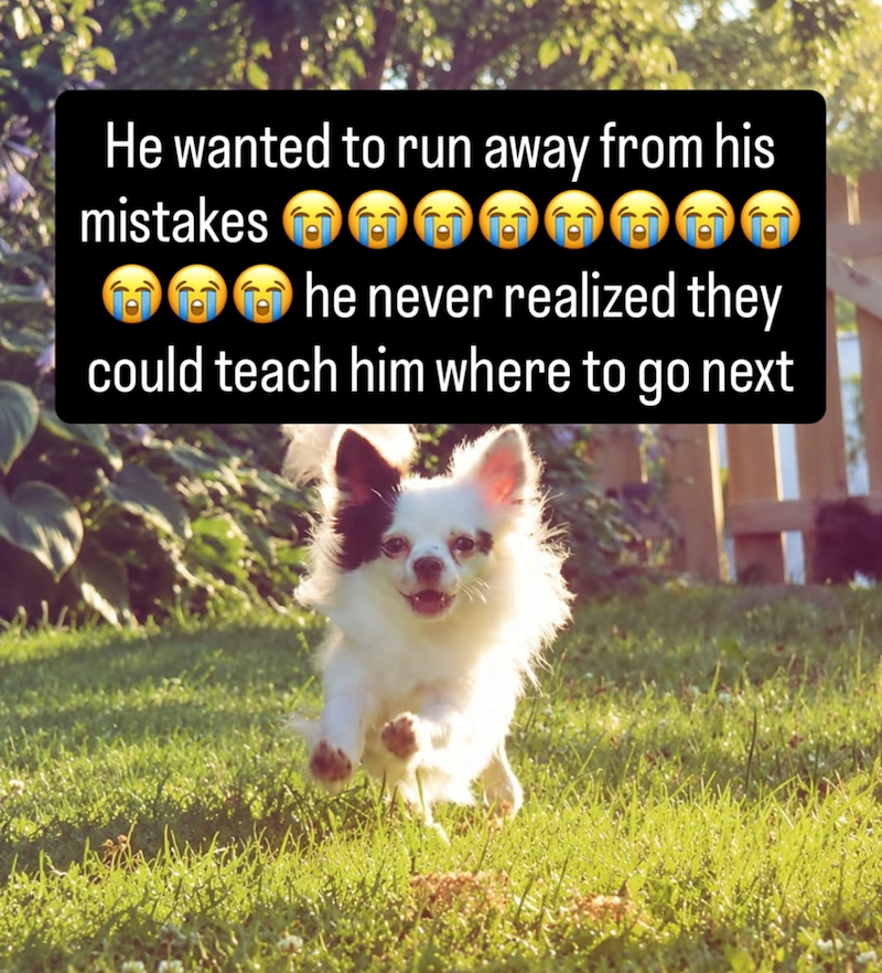 He wanted to run away from his mistakes ***** he never realized they could teach him where to go next