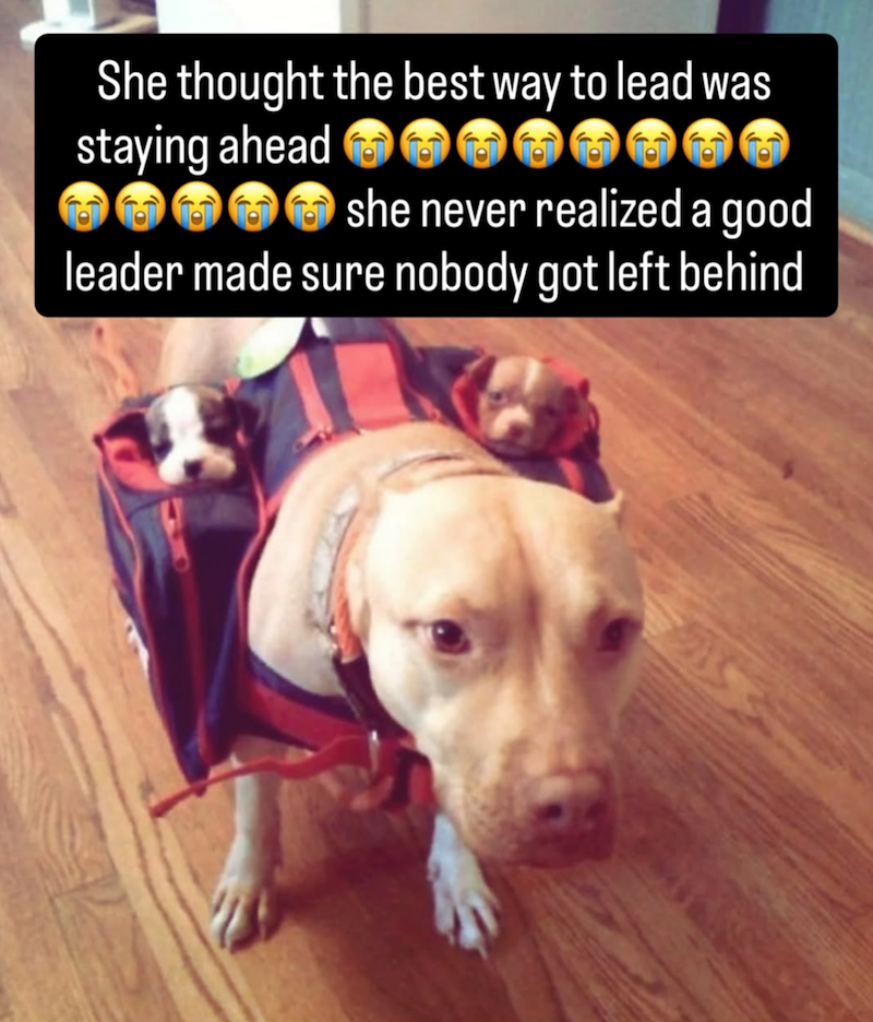 She thought the best way to lead was staying ahead she never realized a good leader made sure nobody got left behind