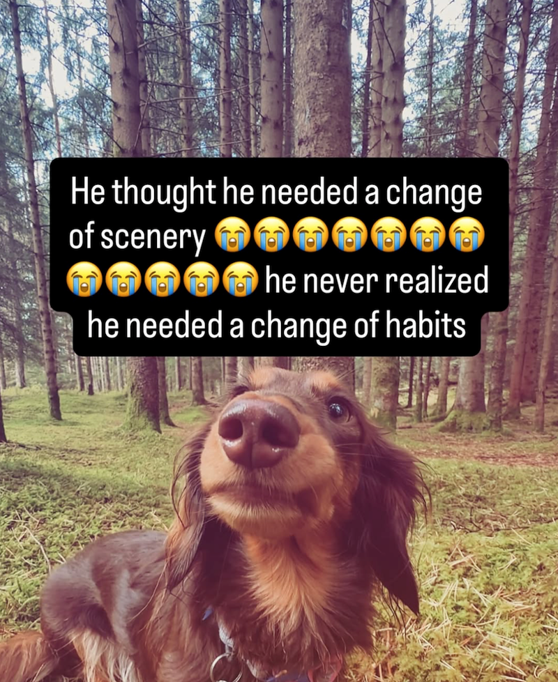 He thought he needed a change of scenery he never realized he needed a change of habits