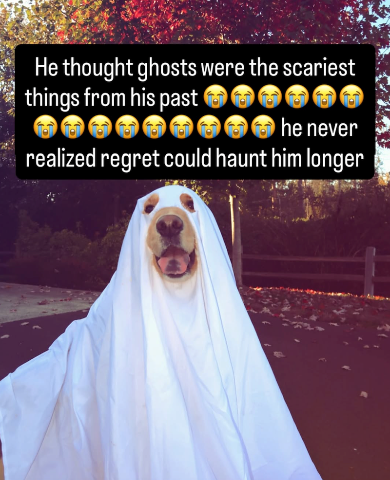 He thought ghosts were the scariest things from his past O he never realized regret could haunt him longer