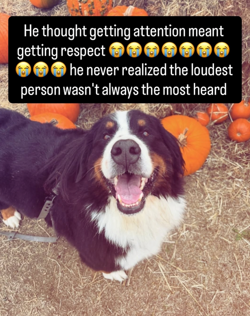 He thought getting attention meant getting respect he never realized the loudest person wasn't always the most heard
