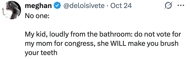 meghan No one: @deloisivete Oct 24 · My kid, loudly from the bathroom: do not vote for my mom for congress, she WILL make you brush your teeth