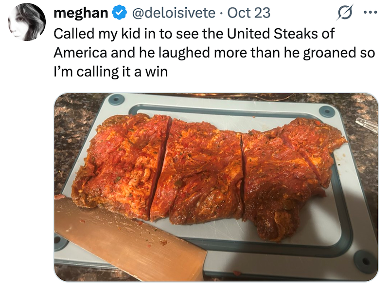meghan @deloisivete Oct 23 Called my kid in to see the United Steaks of America and he laughed more than he groaned so I'm calling it a win