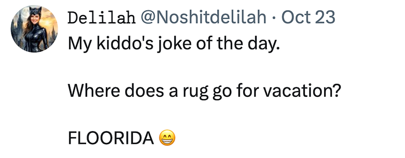 Delilah @Noshitdelilah Oct 23 . My kiddo's joke of the day. Where does a rug go for vacation? FLOORIDA AA