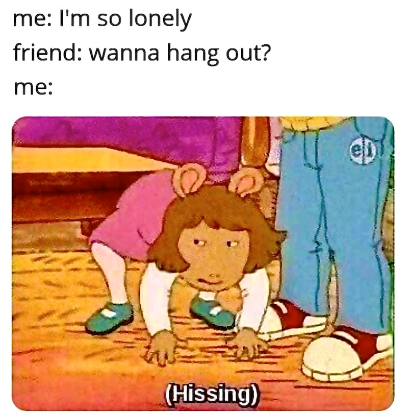 me: I'm so lonely friend: wanna hang out? me: (Hissing) ell