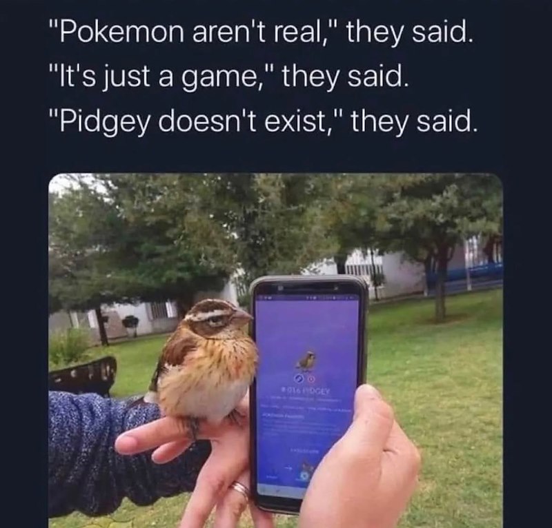 "Pokemon aren't real," they said. "It's just a game," they said. "Pidgey doesn't exist," they said. 96 016 FYDGEY